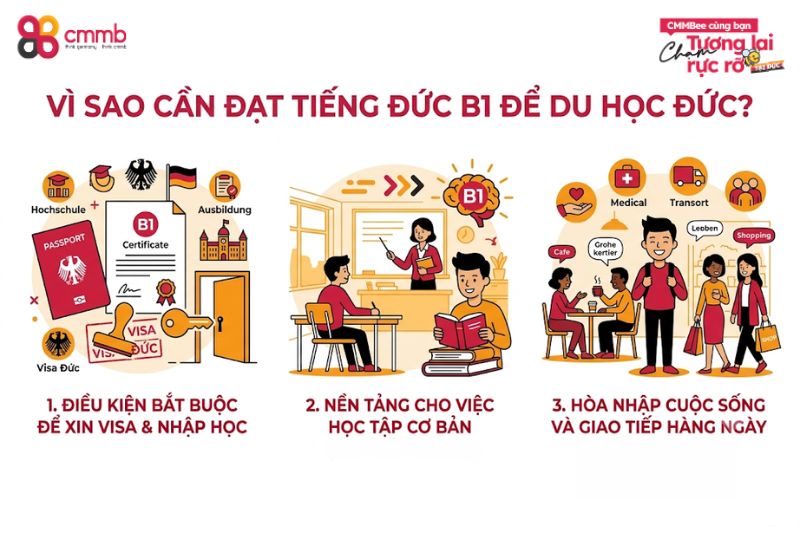 Vì sao phải đạt được tiếng Đức B1 để du học Đức?
