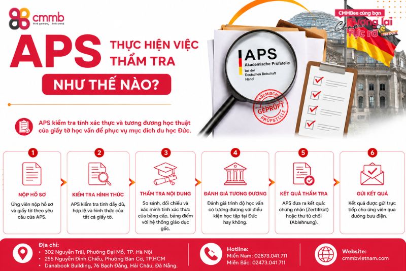 APS thực hiện việc thẩm tra như thế nào?
