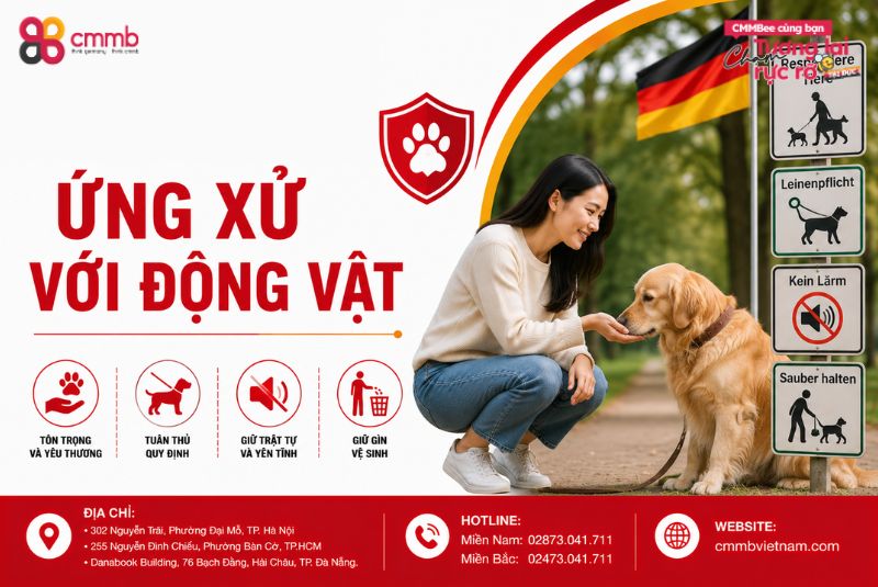 5 Điều cấm kỵ khi sống tại Đức - Phần 2 về luật pháp 3 Ứng xử với động vật