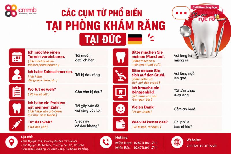 5 LƯU Ý CẦN NHỚ KHI KHÁM RĂNG TẠI ĐỨC 3 Các cụm từ phổ biến tại phòng khám răng tại Đức