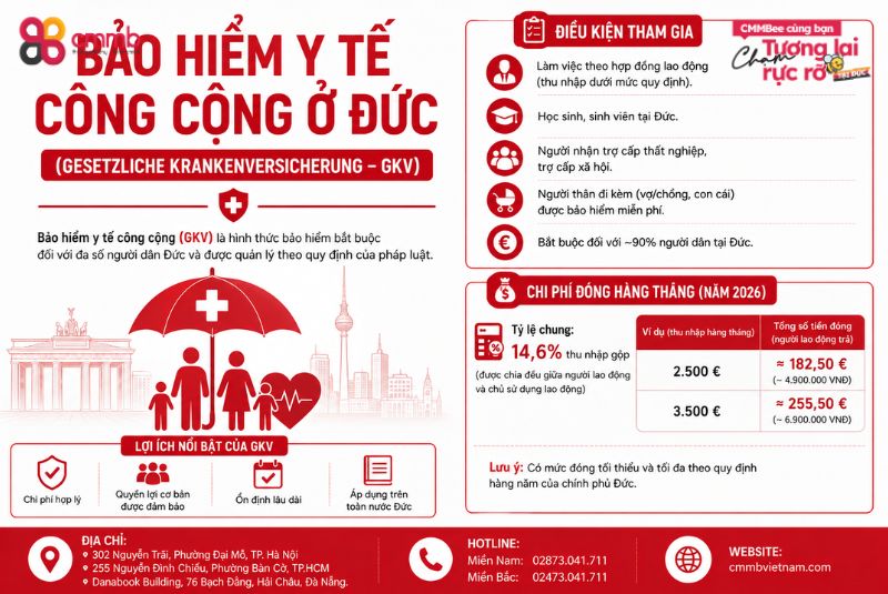 Bảo Hiểm Y Tế Ở Đức: Chọn Công Cộng Hay Tư Nhân Tốt Hơn? 2 Bảo Hiểm Y Tế Công Cộng Ở Đức