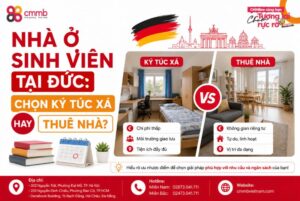Nhà Ở Sinh Viên Tại Đức: Chọn Ký Túc Xá Hay Thuê Nhà?