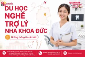 Du học nghề trợ lý nha khoa Đức: Cơ hội cho ứng viên du học nghề Đức