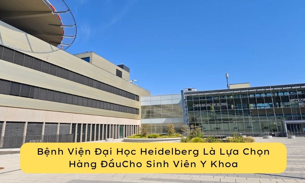 Vì Sao Bệnh Viện Đại Học Heidelberg Là Lựa Chọn Hàng Đầu Cho Sinh Viên Y Khoa 6 Bệnh Viện Đại Học Heidelberg