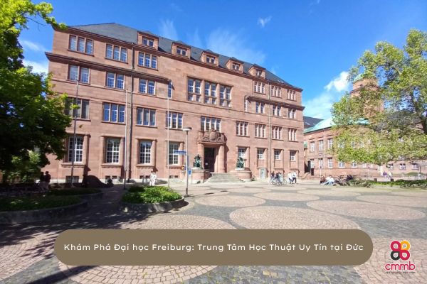 đại học freiburg