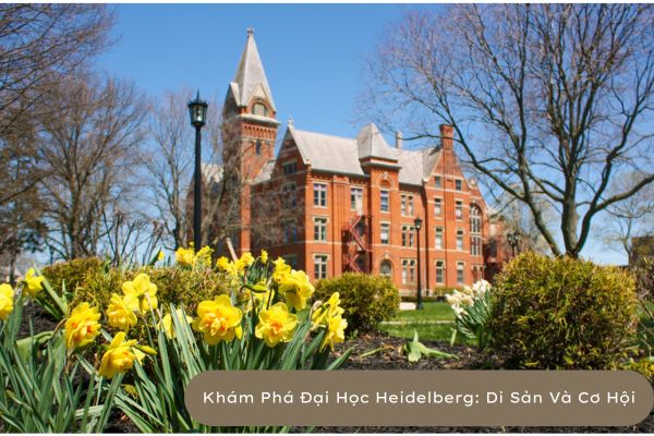 Đại Học Heidelberg: di sản và cơ hội