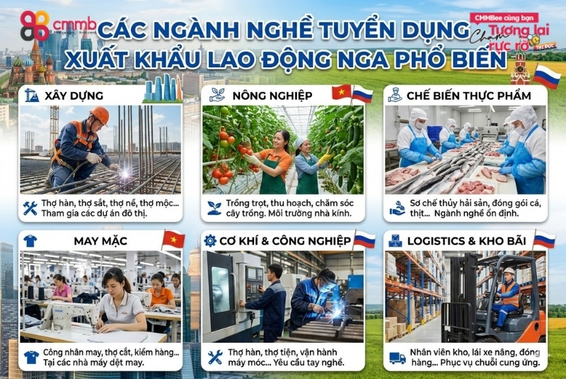 Xuất Khẩu Lao Động Nga 2026: Thị Trường Lao Động Phù Hợp Cho Ai? 3 Các ngành nghề tuyển dụng xuất khẩu lao động Nga phổ biến