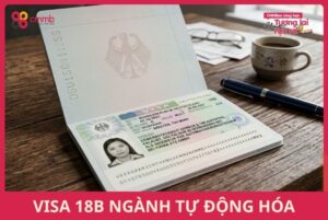 Visa 18b ngành tự động hóa: Yêu cầu, thủ tục, mức lương