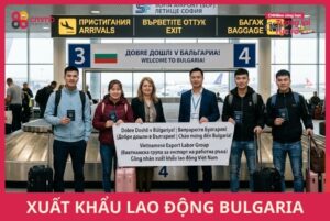 Xuất khẩu lao động Bulgaria 2026: Chi phí, lương, điều kiện