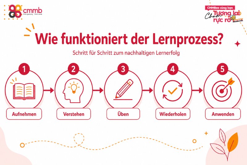 Deutsch-Sprachschule in Vietnam für Ausbildung und Arbeit 3 Wie funktioniert der Lernprozess?