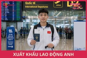 Xuất khẩu lao động Anh 2026: Điều kiện, chi phí, thu nhập