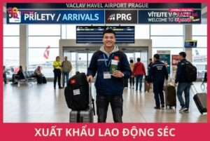 Xuất khẩu lao động Séc 2026: Điều kiện, cơ hội và thu nhập