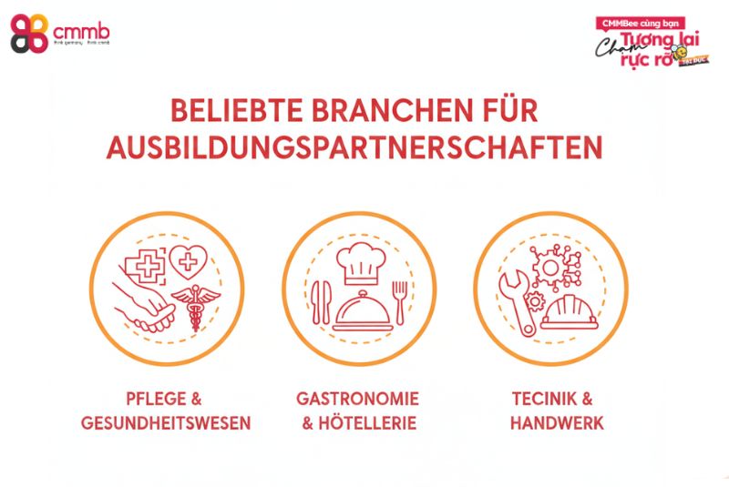 Beliebte Branchen für Ausbildungspartnerschaften