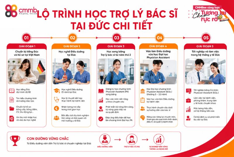 Lộ trình học trợ lý bác sĩ tại Đức từ A-Z 2 Lộ trình học trợ lý bác sĩ tại Đức chi tiết