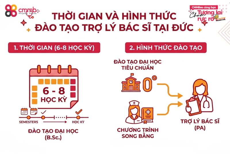 Thời gian và hình thức đào tạo trợ lý bác sĩ tại Đức