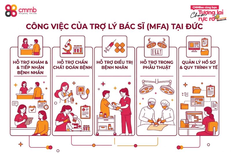 Trợ lý bác sĩ ở Đức làm gì? Cơ hội, mức lương 1 Trợ lý bác sĩ ở Đức làm gì?