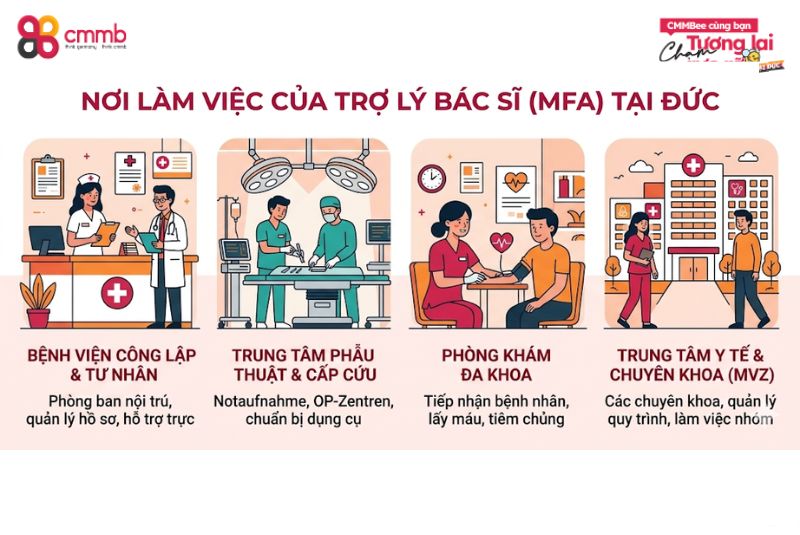 Trợ lý bác sĩ ở Đức làm gì? Cơ hội, mức lương 2 Trợ lý bác sĩ ở Đức làm việc ở đâu?