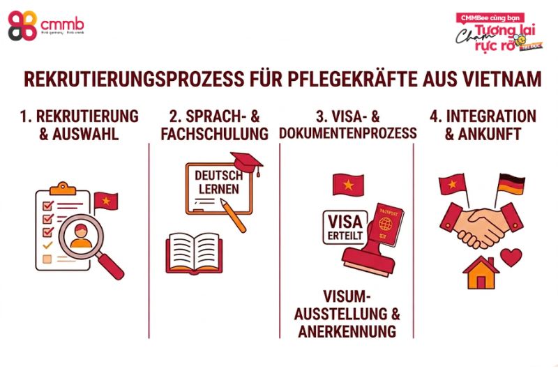 Pflegekräfte Vietnam Deutschland: Chancen, Ablauf 3 Wie erfolgt die Rekrutierung von Pflegepersonal aus Vietnam?