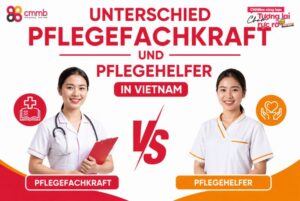4 Unterschied pflegefachkraft und pflegehelfer Vietnam