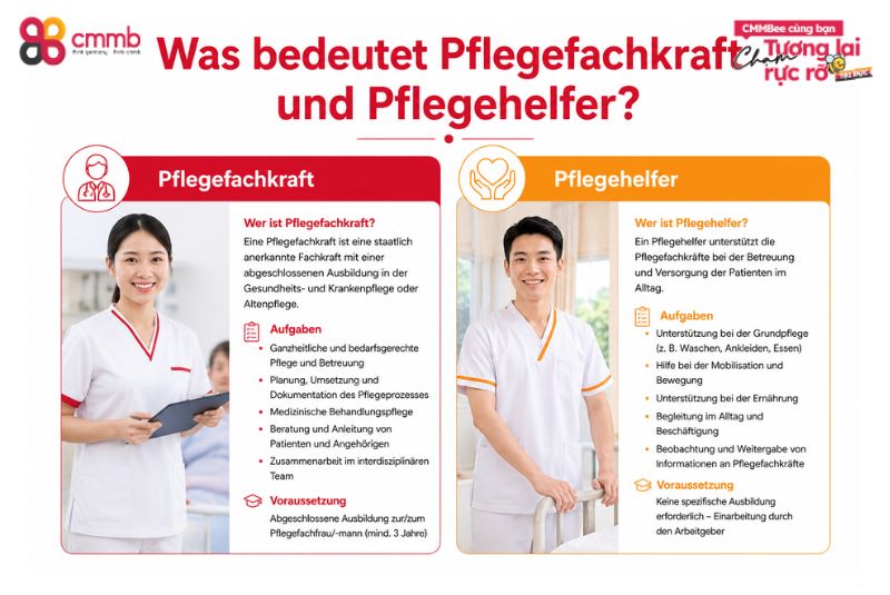 Unterschied pflegefachkraft und pflegehelfer Vietnam 1 Was bedeutet Pflegefachkraft und Pflegehelfer?