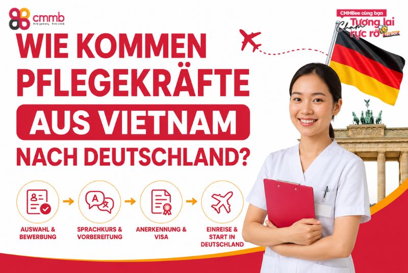 Wie kommen Pflegekräfte aus Vietnam nach Deutschland? 33 Wie kommen Pflegekräfte aus Vietnam nach Deutschland?
