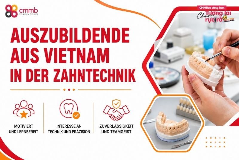 Auszubildende aus Vietnam in der Zahntechnik gewinnen