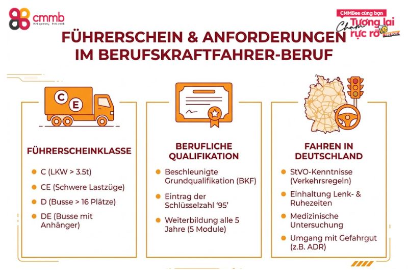 Auszubildende aus Vietnam als Berufskraftfahrer 2 Führerschein und weitere Anforderungen im Berufskraftfahrer-Beruf