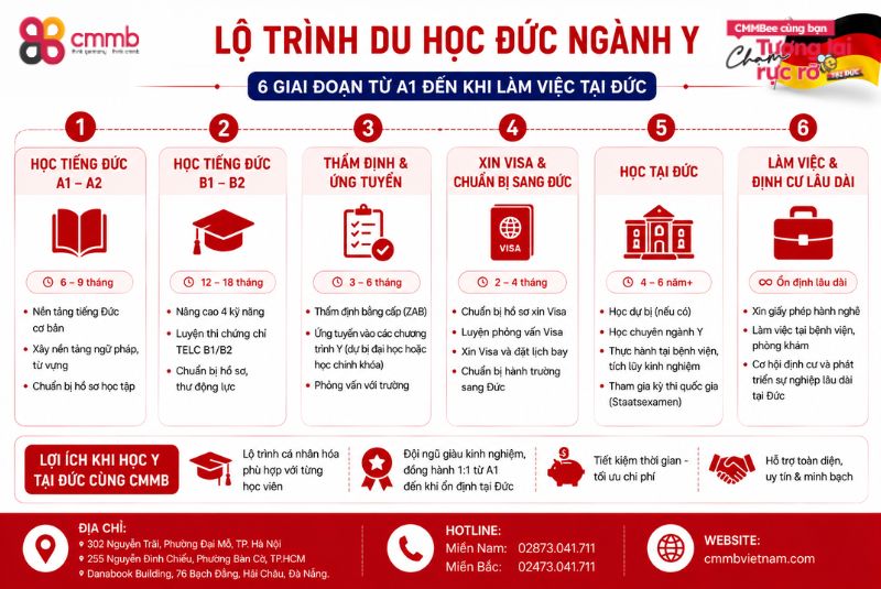 Du Học Đức Ngành Y: Điều Kiện, Lộ Trình, Chi Phí 4 Lộ trình du học Đức ngành y