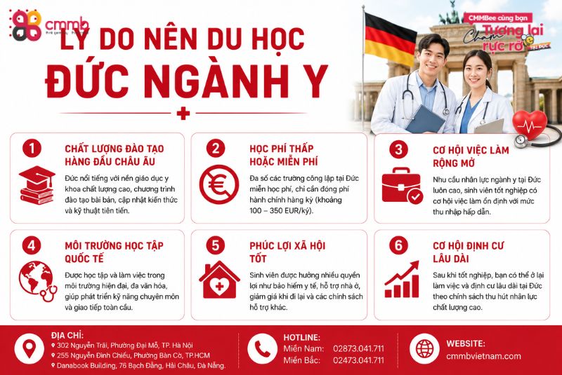 Du Học Đức Ngành Y: Điều Kiện, Lộ Trình, Chi Phí 1 Lý do nên du học Đức ngành y